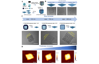 Interfacial confinement-enabled precise synthesis of square-shaped 2D mesoporous nanosheets 2026.100975